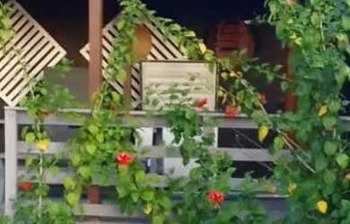 Imagem 10: Casa mais salão de festas