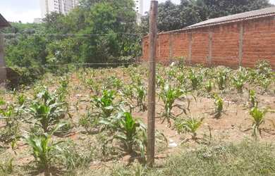 Imagem 2: Lote São Carlos 2 Etapa. 384m² de Área