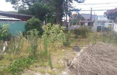 Imagem 12: Terreno em Tristeza. 331m² de Área