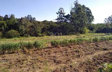 Imagem 16: Area em Campo Novo. Imóvel novo