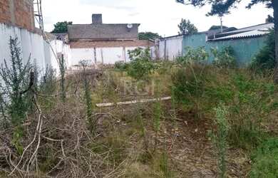 Imagem 4: Terreno em Tristeza. 331m² de Área