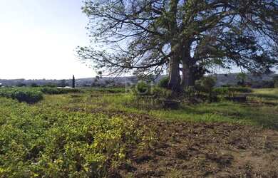Imagem 10: Area em Campo Novo. Imóvel novo