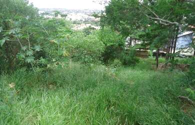 Imagem 5: Terreno em Altos do Ipê. 351m² de Área