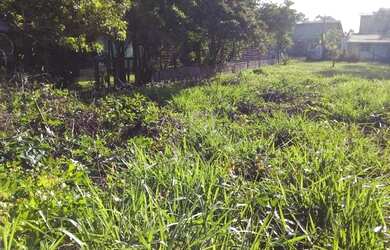 Imagem 11: Terreno em Rondinha. 331m² de Área