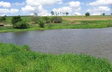 Imagem: A fazenda possui 500m² de Área e está localizado em MG à