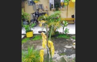 Imagem: A casa possui 1 Dormitório, 1 Banheiro, 2 Vagas na garagem