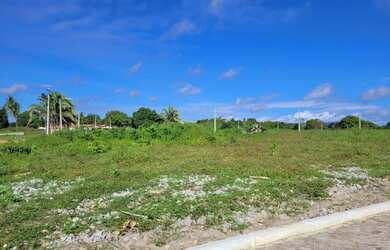 Imagem 10: Loteamento Vivencie Camara Perto Do Restaurante Benjamim Pronto Para Construir...