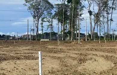 Imagem 4: Lote no bouganville. 