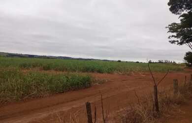 Imagem 4: 92 de cana em Floreal/SP. 302.500m² de Área