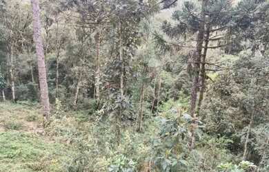 Imagem 11: Terreno a venda. 5.340m² de Área