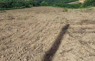 Imagem: A chácara possui 20.000m² de Área e está localizado em