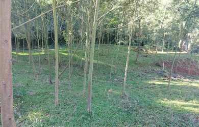 Imagem 13: Sítio / Chácara para Venda em Nova Petrópolis, Fazenda Pirajá, 2 dormitórios,...