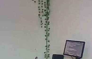 Imagem 8: Apartamento à venda em Cândida Câmara com 3 Quarto s , 1 Suíte s