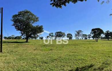 Imagem: A fazenda possui 172800m² de Área e está localizado em Santo