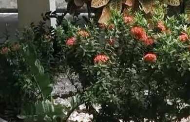 Imagem 16: Oportunidade na Vila Laura