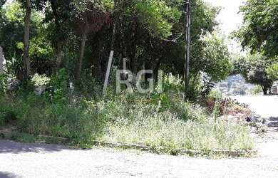 Imagem 4: Terreno em Bom Jesus. 981m² de Área