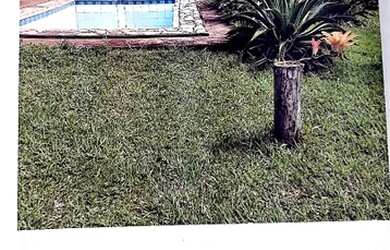 Imagem 4: Sítio da Lage, Cantagalo- RJ