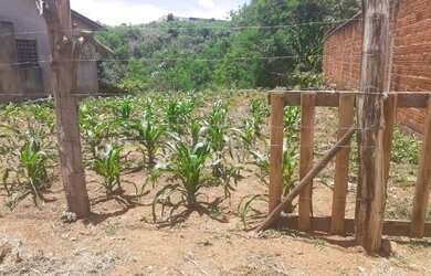 Imagem: O terreno possui 384m² de Área e está localizado em São