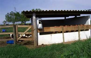 Imagem 13: Sitio no Bairro Varandas Do Tiete na cidade de Iacanga