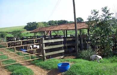 Imagem 15: Sitio no Bairro Varandas Do Tiete na cidade de Iacanga