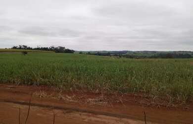 Imagem: A chácara possui 302.500m² de Área e está localizado em