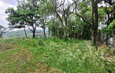Imagem 2: Venda de Terreno em Condomínio em Caxias do Sul-RS, bairro Nossa Senhora...