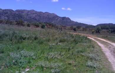 Imagem 3: Chácaras com 5.000 a 30.000m²