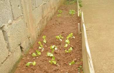 Imagem 14: Casa em São Lourenço