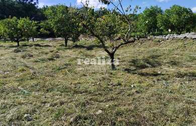 Imagem 2: TERRENO EM GRAMADO. 800m² de Área