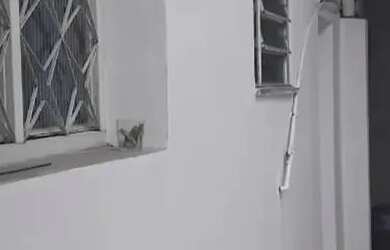 Imagem 16: Imóvel para aluguel possui 83 metros quadrados com 3 quartos em Campo Grande - Rio de Jane