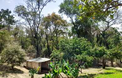 Imagem 7: Chácara 1200 metros. 1.200m² de Área