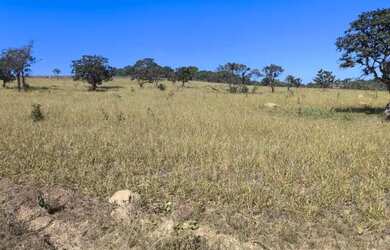 Imagem: O terreno possui 21.480m² de Área e está localizado em Taguatinga