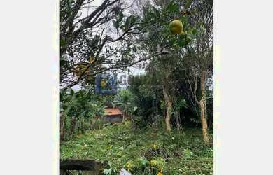 Imagem 8: Terreno Comercial à Venda 489 m² em São Bernardo do Campo (Finco) por R$ 240.000