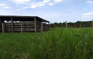 Imagem 1: Fazenda com 90 hectares na vila Equador/RR, ler descrição do anuncio