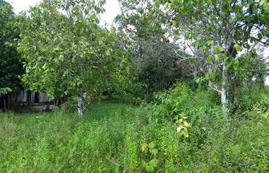 Imagem 10: Fazenda com 90 hectares na vila Equador/RR, ler descrição do anuncio