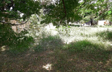 Imagem 1: Lote todo murado com 14,00 metros de frente bairro Marimbá -Betim