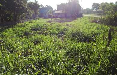 Imagem 7: Terreno em Rondinha. 331m² de Área