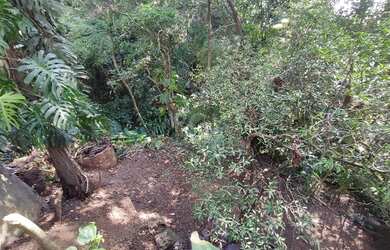 Imagem 3: Casa em Nonoai. Churrasqueira, 134m² de Área, 1 Vaga na garageme2 Dormitórios