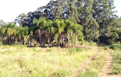 Imagem 3: Area em Campo Novo. Imóvel novo