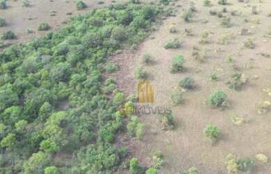 Imagem: A fazenda possui 20.000.000m² de Área e está localizado