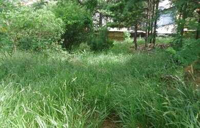 Imagem 6: Terreno em Altos do Ipê. 351m² de Área