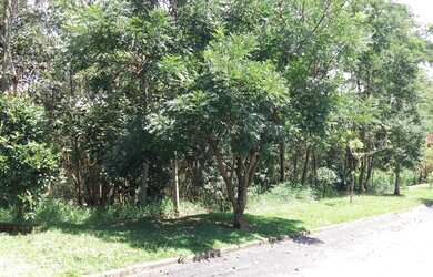 Imagem: O terreno possui 5.266m² de Área e está localizado em Moinho