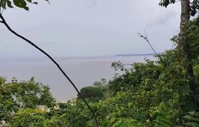 Imagem 6: Lotes em Belterra. Imóvel novoe30m² de Área