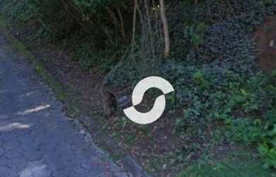 Imagem: O terreno possui 743m² de Área e está localizado em Mata