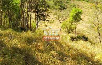 Imagem 11: Fazenda 337 Alqueires 1.638 Hectares Niquelandia - Go