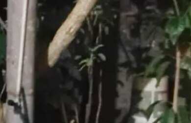 Imagem 2: Vende se casa em Paracatu MG no urgente caso de doença para fazer uma...