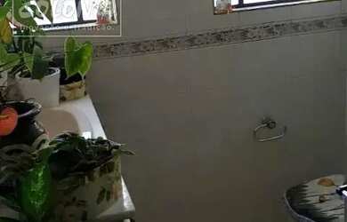 Imagem 3: Sobrado a venda - Vila Camilópolis, Santo André