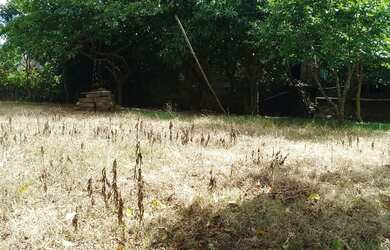 Imagem 4: Vendo um terreno em rolante RS