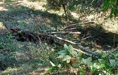 Imagem: O terreno possui 1000m² de Área e está localizado em Centro