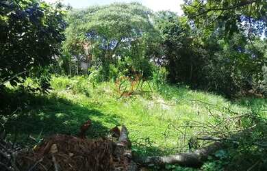 Imagem 6: OPORTUNIDADE no Recanto Inpla